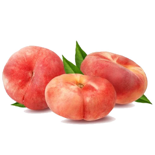 نهال شلیل انجیری